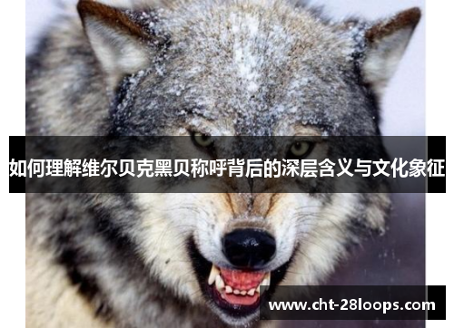 如何理解维尔贝克黑贝称呼背后的深层含义与文化象征