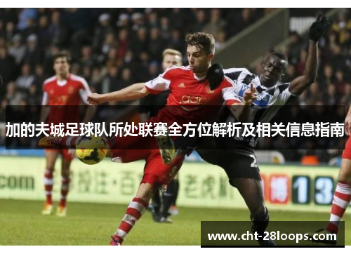 加的夫城足球队所处联赛全方位解析及相关信息指南